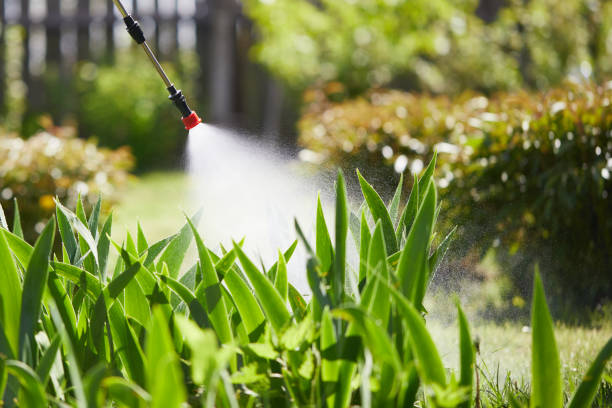 24/7 Emergency Mosquito Control experts in Mantua, VA