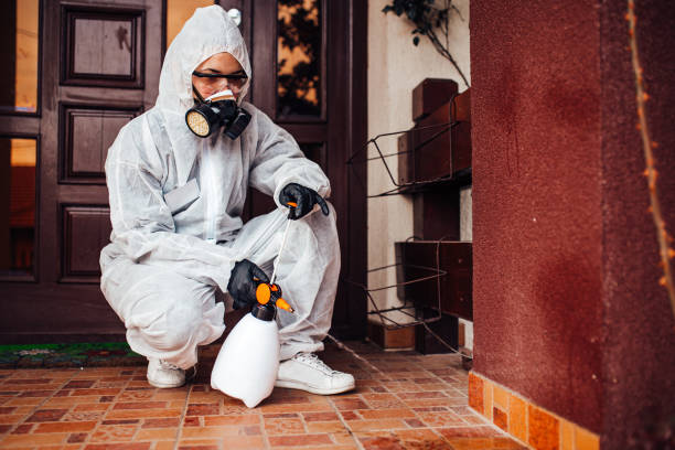 Reliable Mosquito Control contractor in Mantua, VA by Show Me Pest Control