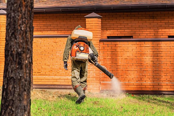 Top rated local Mosquito Control specialists in Mantua, VA